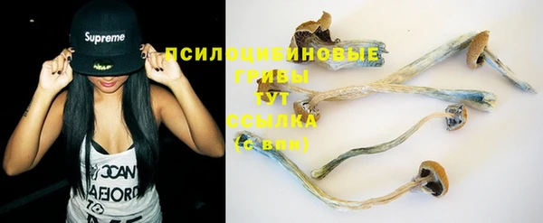 хмурый Алексеевка