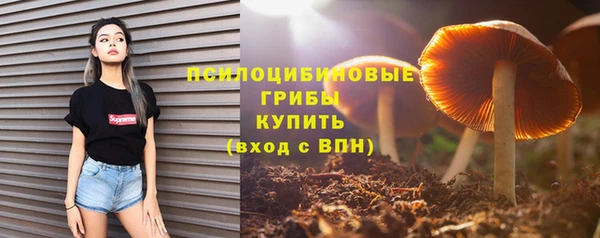 мет Алзамай