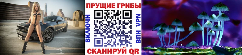 Псилоцибиновые грибы Psilocybe  darknet какой сайт  Зуевка 